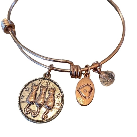 Footnotes | Rose Gold | Cat | Charm | Bangle | Bracelet - Picture 3 of 5